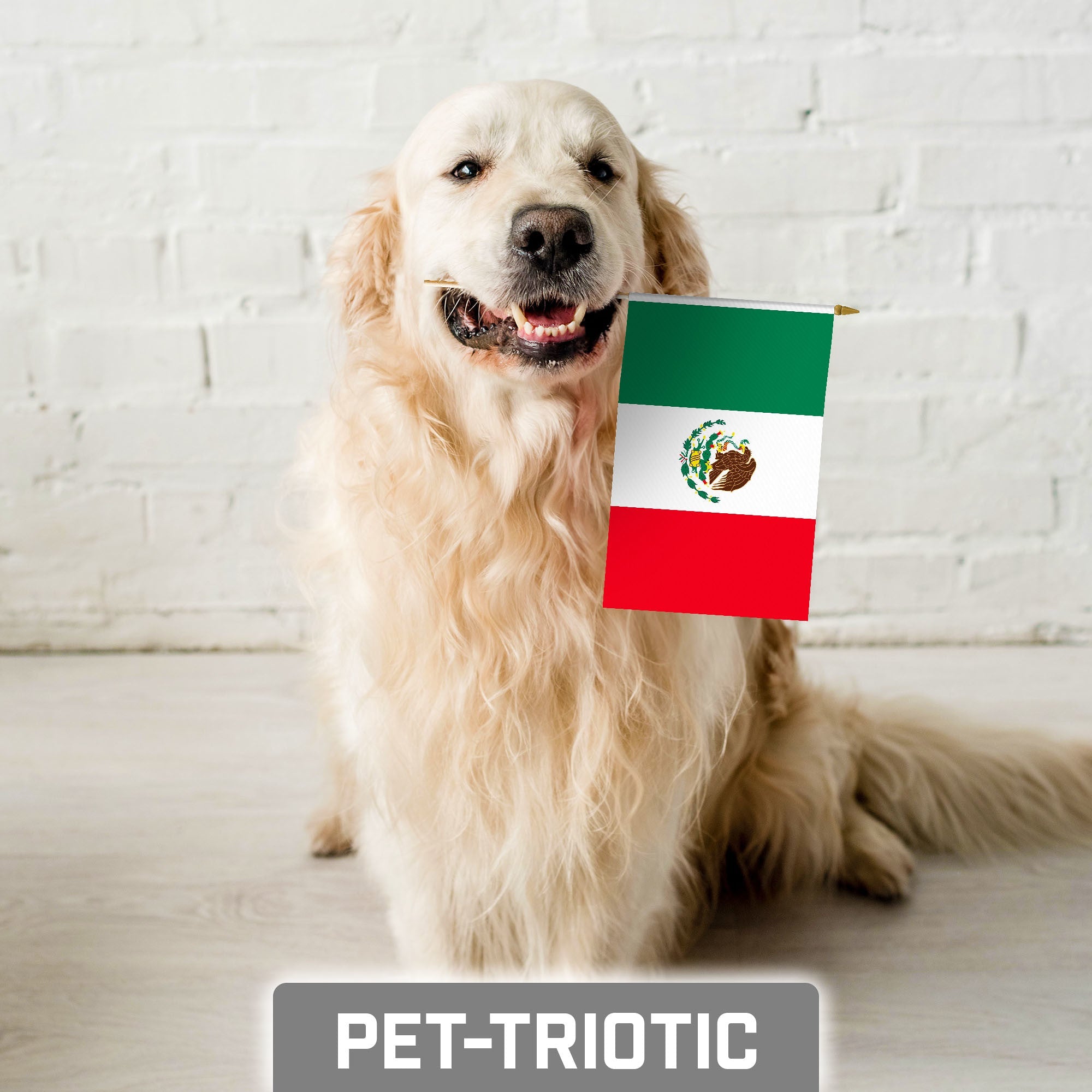 G128 30 Pack Handheld Mexico Mexican Stick Flags | 8x12 In | Printed 150D Polyester, Country Flag, Solid Wooden Stick, Spear Gold Tip