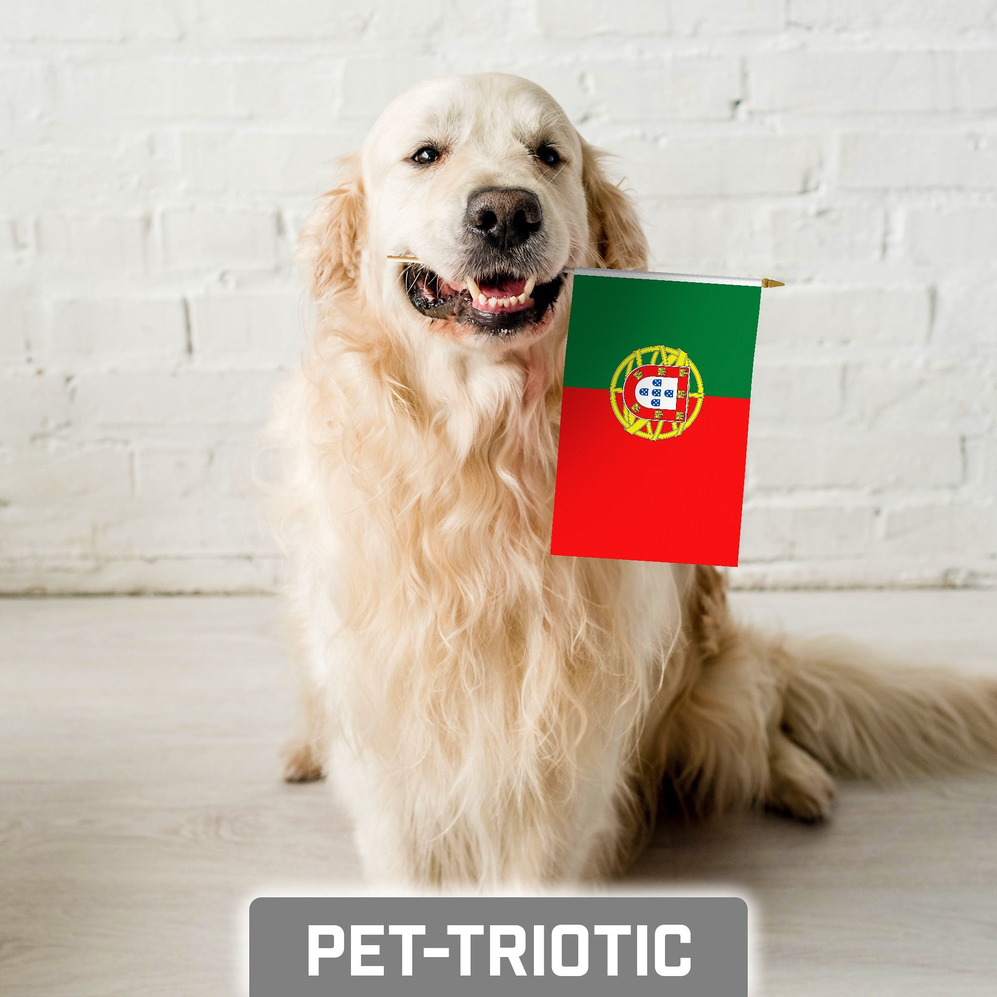 G128 12 Pack Handheld Portugal Portuguese Stick Flags | 8x12 In | Printed 150D Polyester, Country Flag, Solid Wooden Stick, Spear Gold Tip