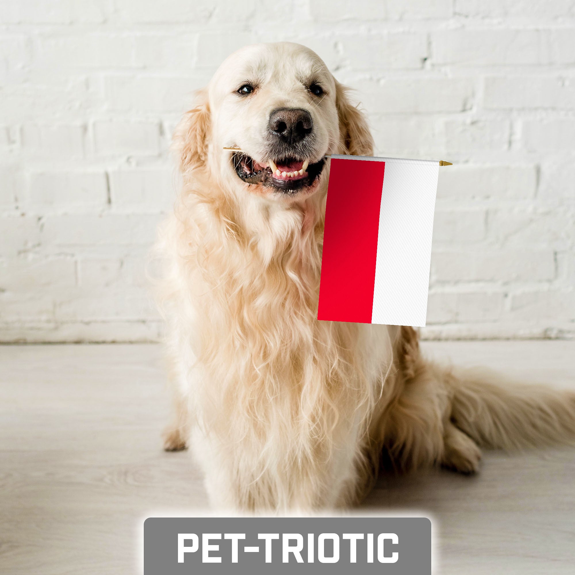 G128 12 Pack Handheld Poland Polish Stick Flags | 8x12 In | Printed 150D Polyester, Country Flag, Solid Wooden Stick, Spear Gold Tip