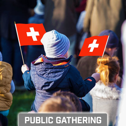 G128 24 Pack Handheld Switzerland Swiss Stick Flags | 8x12 In | Printed 150D Polyester, Country Flag, Solid Wooden Stick, Spear Gold Tip