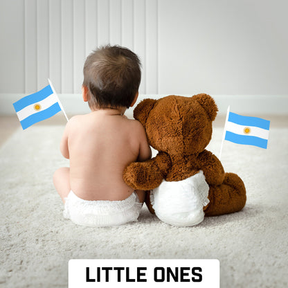 24 Pack Handheld Argentina Argentinian Stick Flags | 4x6 In | Printed 150D Polyester, Country Flag, Solid Plastic Stick, Spear White Tip