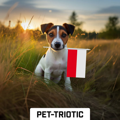 G128 30 Pack Handheld Poland Polish Stick Flags | 4x6 In | Printed 150D Polyester, Country Flag, Solid Plastic Stick, Spear White Tip