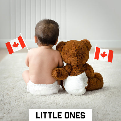 G128 50 Pack Handheld Canada Canadian Stick Flags | 4x6 In | Printed 150D Polyester, Country Flag, Solid Plastic Stick, Spear White Tip