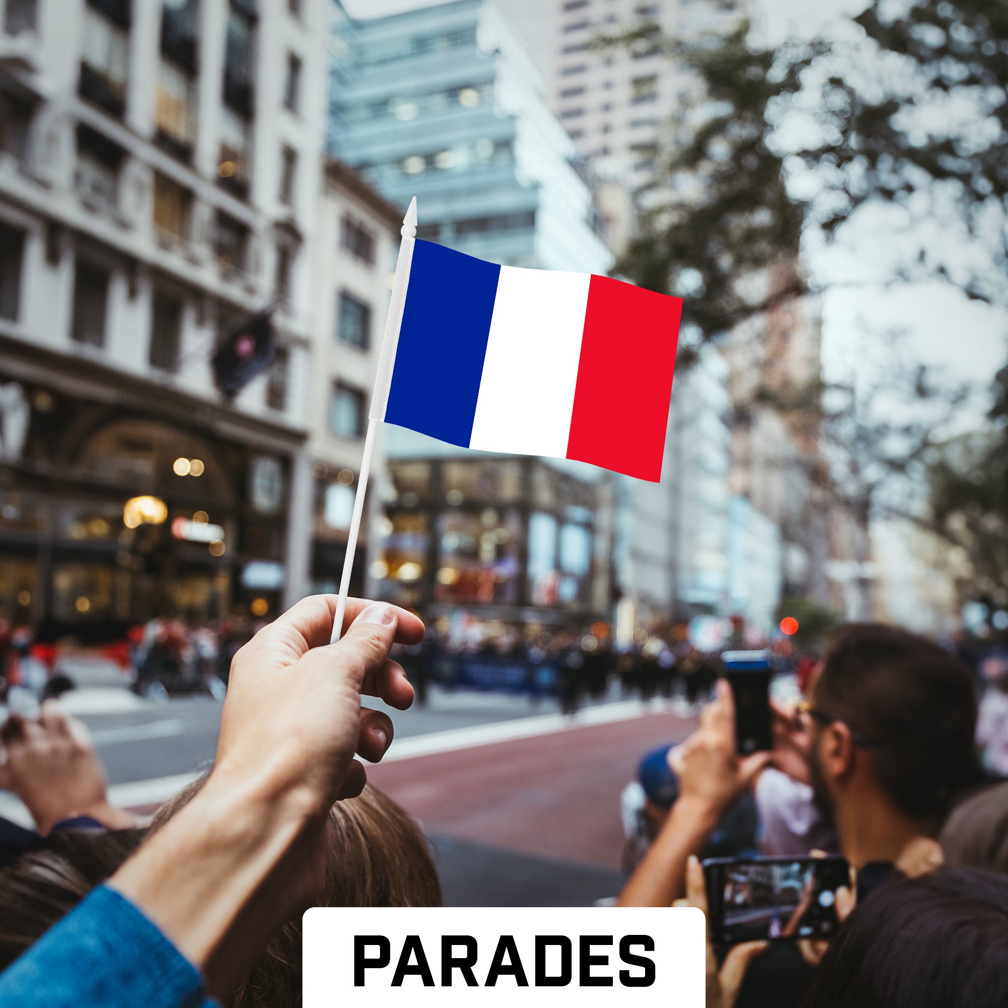 G128 50 Pack Handheld France French Stick Flags | 4x6 In | Printed 150D Polyester, Country Flag, Solid Plastic Stick, Spear White Tip
