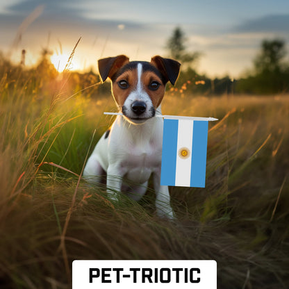 30 Pack Handheld Argentina Argentinian Stick Flags | 4x6 In | Printed 150D Polyester, Country Flag, Solid Plastic Stick, Spear White Tip