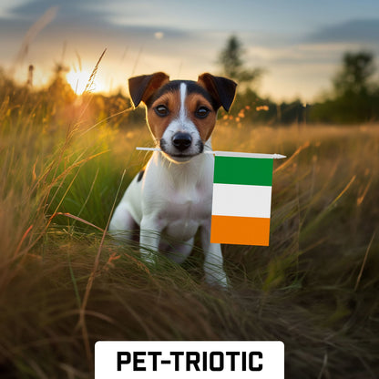 G128 50 Pack Handheld Ireland Irish Stick Flags | 4x6 In | Printed 150D Polyester, Country Flag, Solid Plastic Stick, Spear White Tip