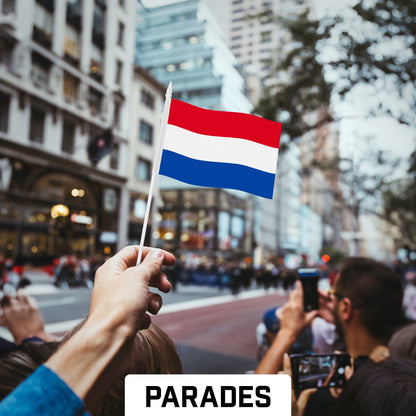 G128 12 Pack Handheld Netherlands Dutch Stick Flags | 4x6 In | Printed 150D Polyester, Country Flag, Solid Plastic Stick, Spear White Tip