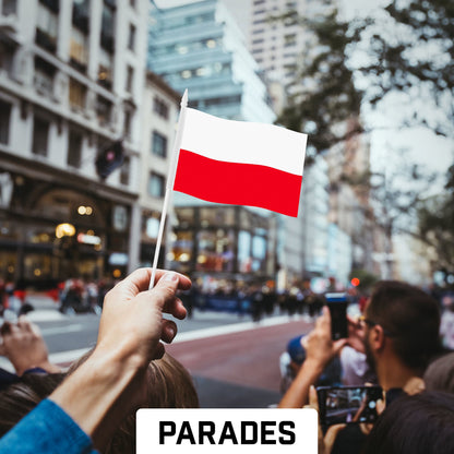 G128 24 Pack Handheld Poland Polish Stick Flags | 4x6 In | Printed 150D Polyester, Country Flag, Solid Plastic Stick, Spear White Tip
