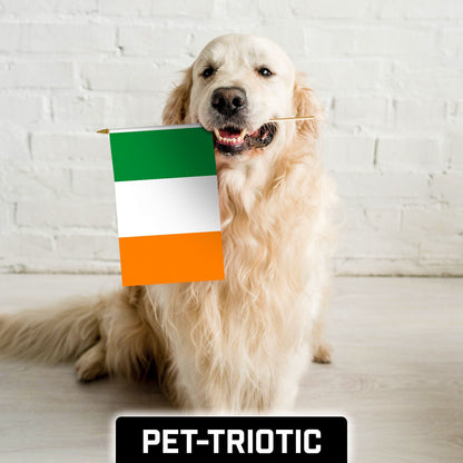 G128 30 Pack Handheld Ireland Irish Stick Flags | 12x18 In | Printed 150D Polyester, Country Flag, Solid Wooden Stick, Spear Gold Tip