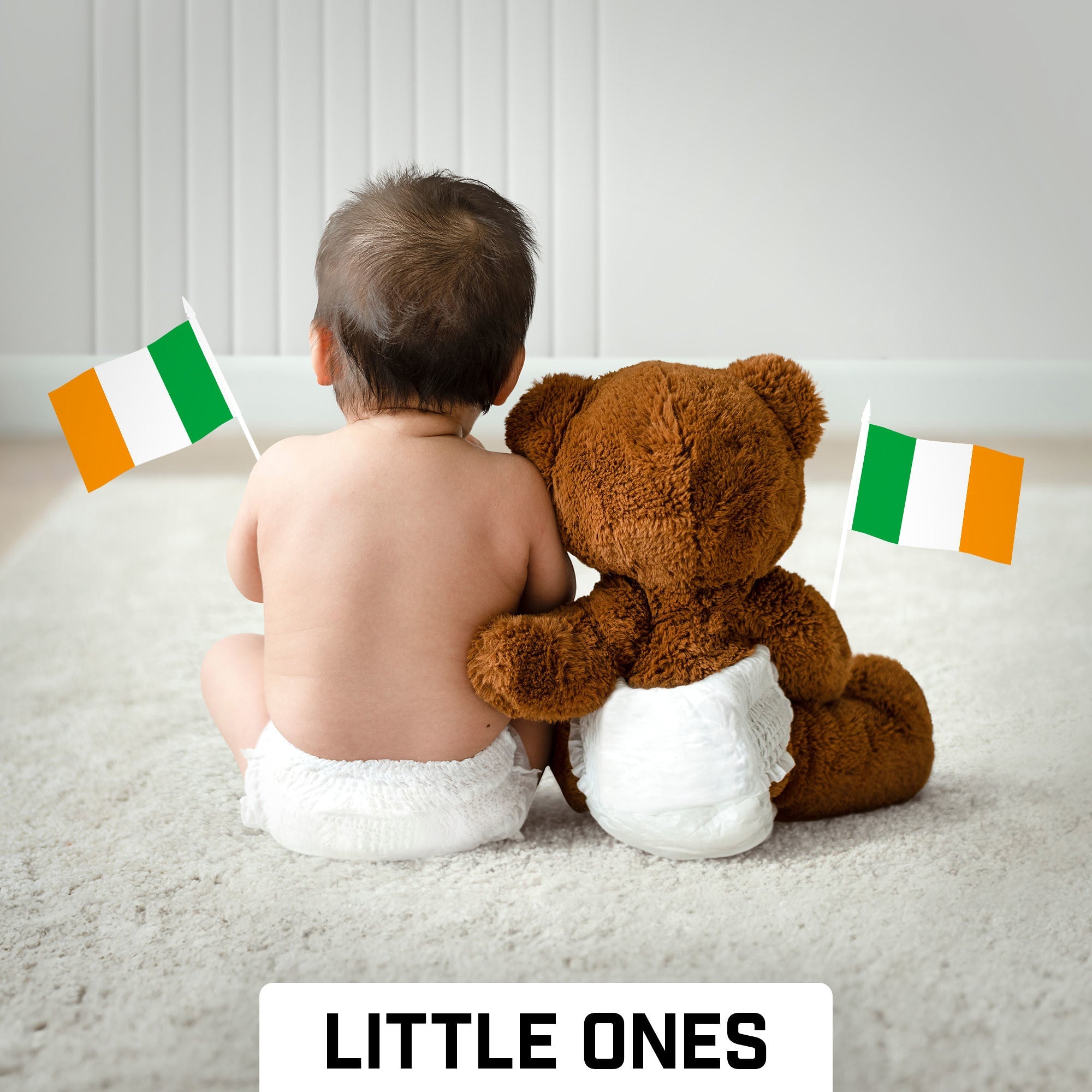 G128 24 Pack Handheld Ireland Irish Stick Flags | 4x6 In | Printed 150D Polyester, Country Flag, Solid Plastic Stick, Spear White Tip