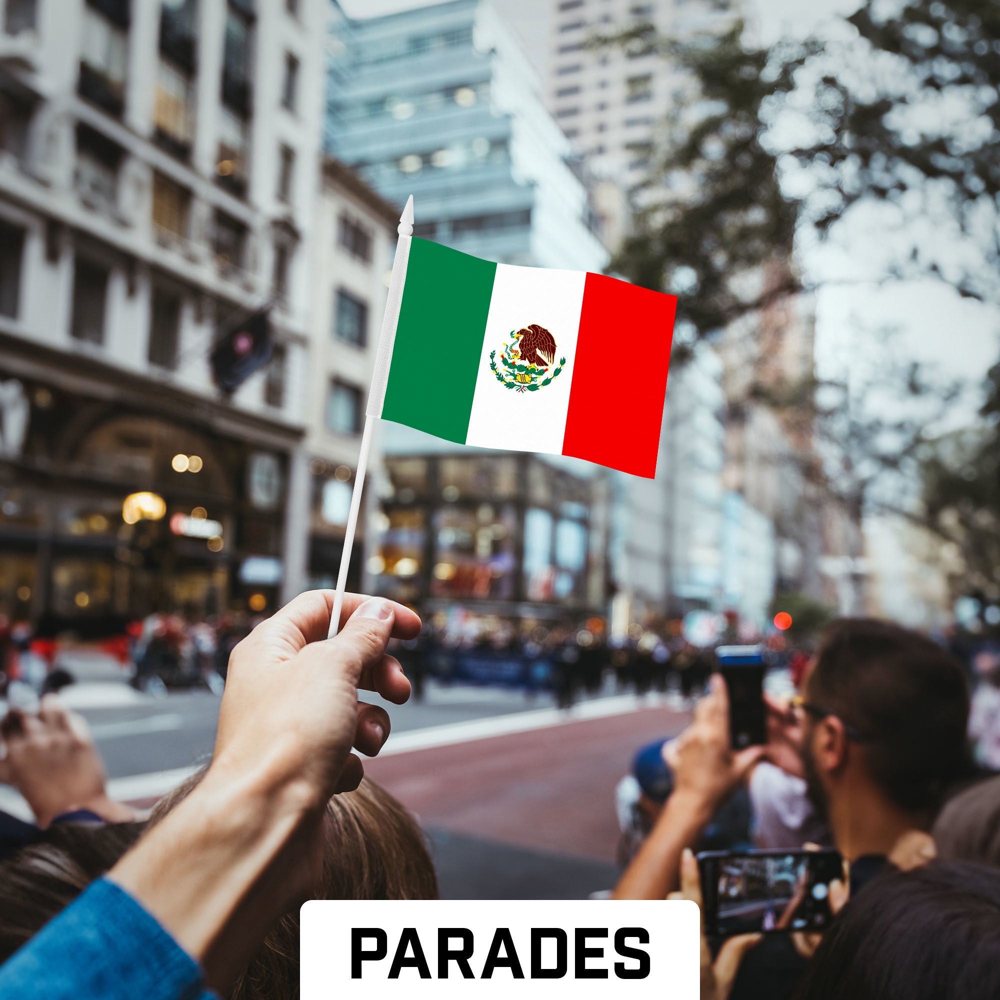 G128 12 Pack Handheld Mexico Mexican Stick Flags | 4x6 In | Printed 150D Polyester, Country Flag, Solid Plastic Stick, Spear White Tip