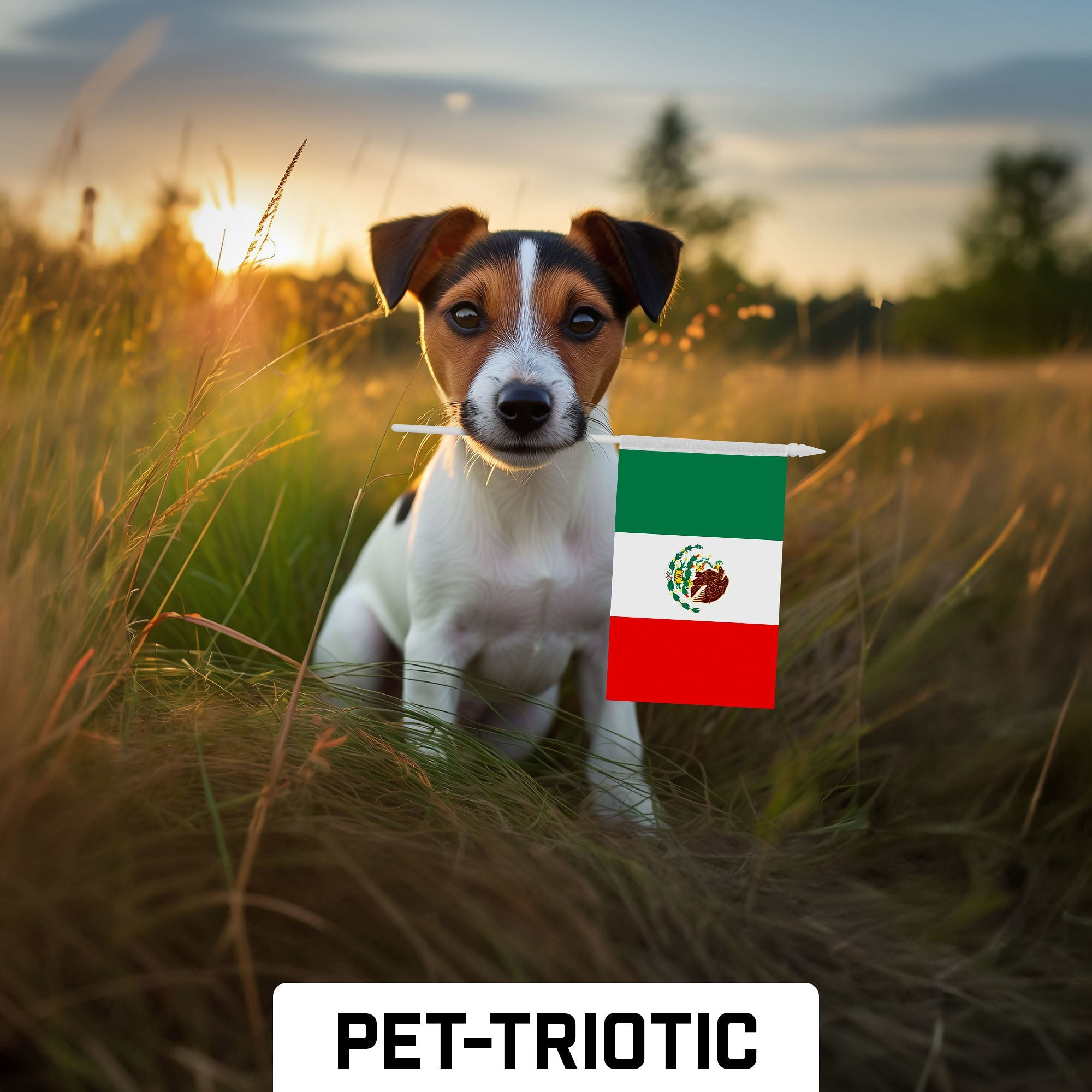 G128 50 Pack Handheld Mexico Mexican Stick Flags | 4x6 In | Printed 150D Polyester, Country Flag, Solid Plastic Stick, Spear White Tip
