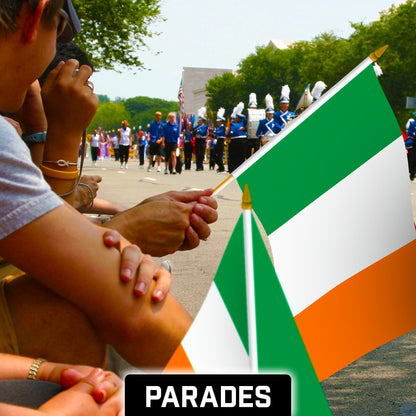 G128 30 Pack Handheld Ireland Irish Stick Flags | 12x18 In | Printed 150D Polyester, Country Flag, Solid Wooden Stick, Spear Gold Tip