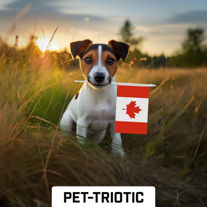 G128 24 Pack Handheld Canada Canadian Stick Flags | 4x6 In | Printed 150D Polyester, Country Flag, Solid Plastic Stick, Spear White Tip