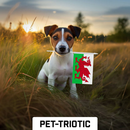 G128 12 Pack Handheld Wales Welsh Stick Flags | 4x6 In | Printed 150D Polyester, Country Flag, Solid Plastic Stick, Spear White Tip