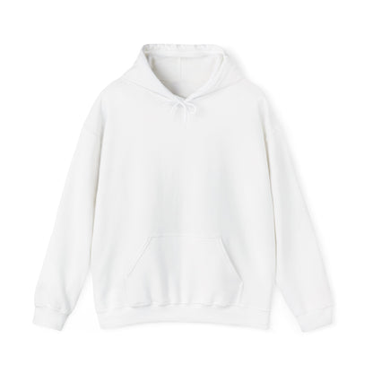Argentina Santa Fe Mission Flag Title Back Hoodie