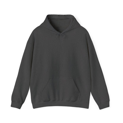 Brazil Teresina Mission Flag Title Back Hoodie