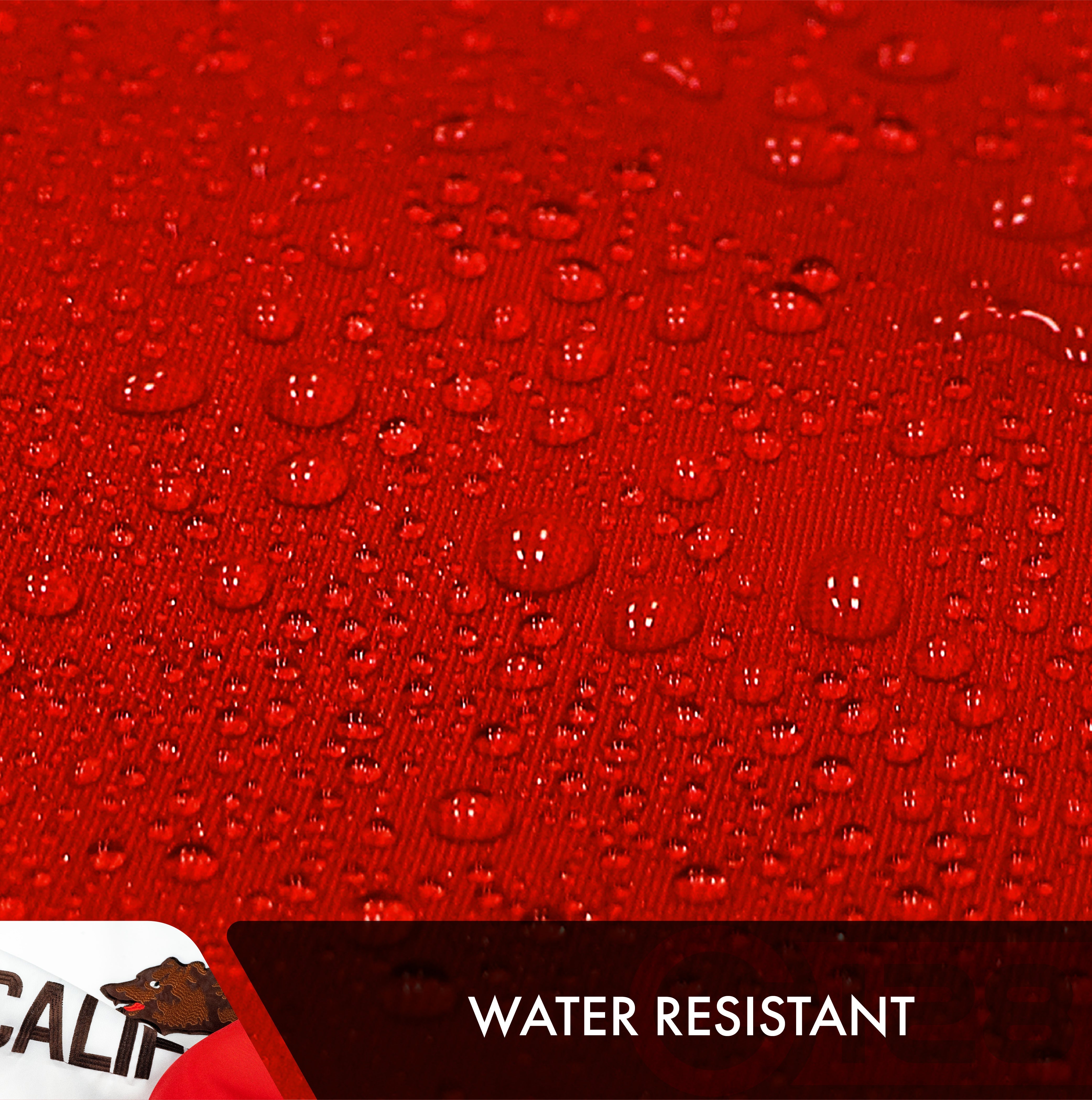 California State Flag 210D Embroidered Polyester 2x3 Ft - Double Sided 3ply