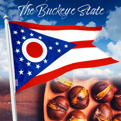 G128 Ohio OH State Flag | 2x3 Ft | StormFlyer Series Embroidered 220GSM Spun Polyester | Embroidered Design, Indoor/Outdoor, Brass Grommets, Heavy Duty, All Weather