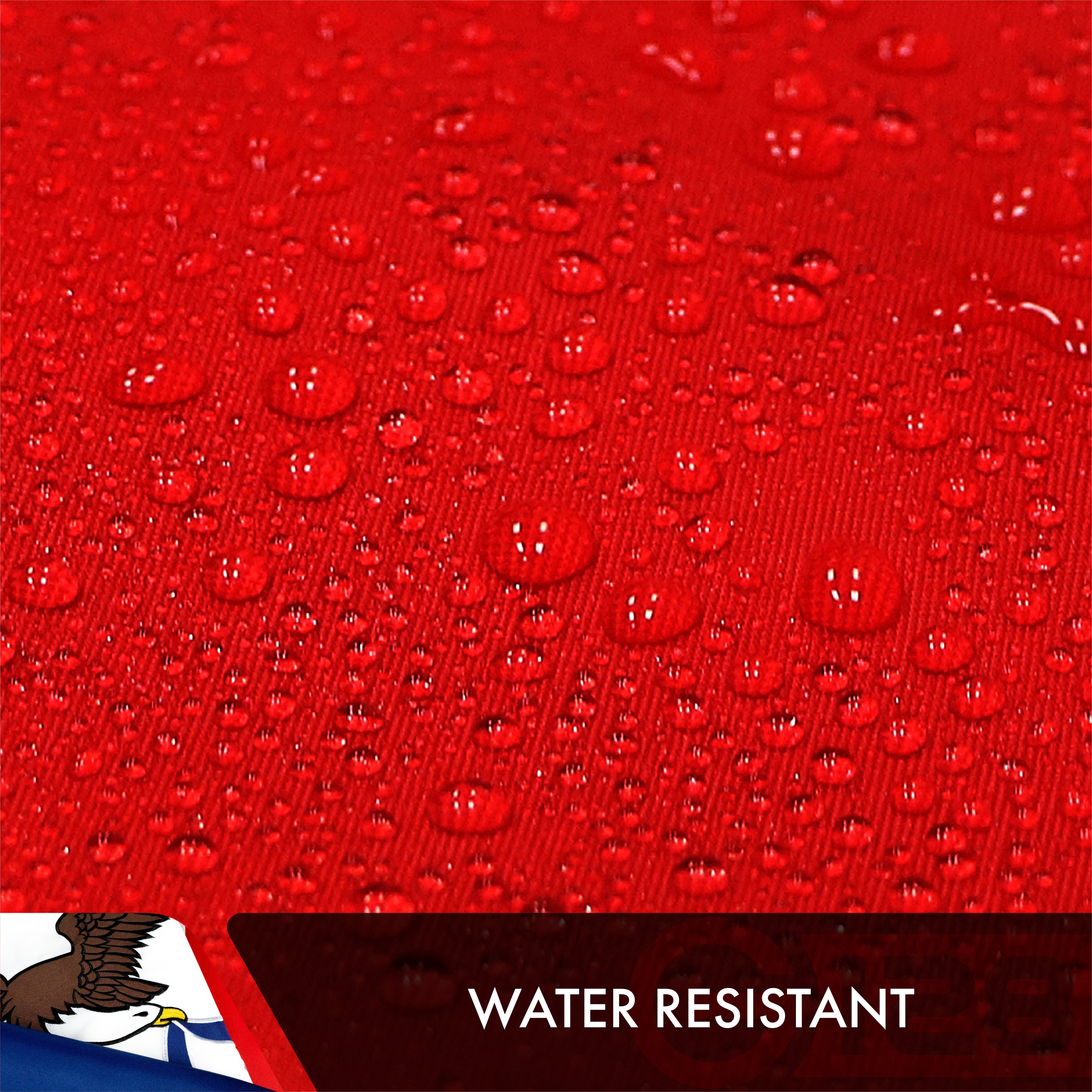 Iowa State Flag 210D Embroidered Polyester 3x5 Ft - Double Sided 3ply