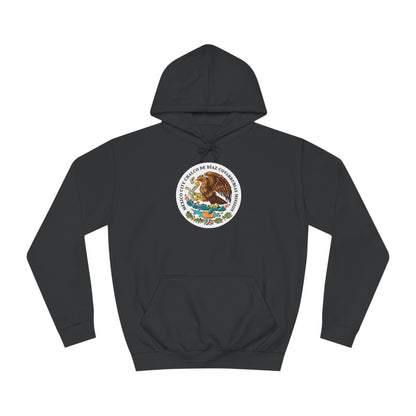 Mexico Mexico City Chalcos Mission Flag Logo (White Border) College Hoodie