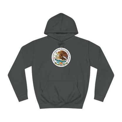 Mexico Mexico City Chalcos Mission Flag Logo (White Border) College Hoodie