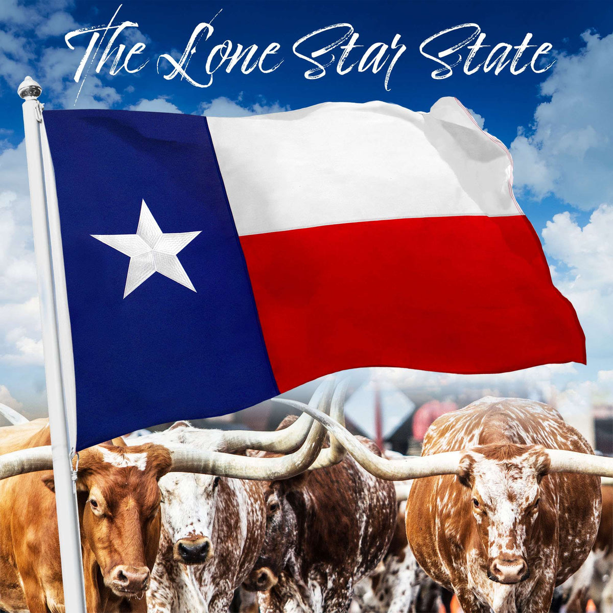 G128 - Texas State Flag 2x3ft Embroidered Stars Sewn Stripes Heavy Duty 220GSM Tough Spun Polyester Quality with Brass Grommets
